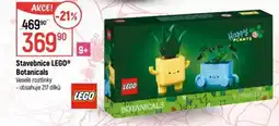 Globus Stavebnice LEGO Botanicals nabídka