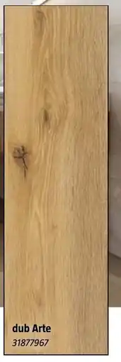 Bauhaus Dub Arte nabídka