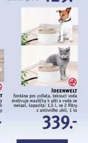 Fontána pro zvířata