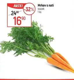 Globus Mrkev s natí nabídka