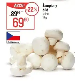 Globus Žampiony bilé nabídka