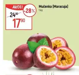 Globus Mučenka (Maracuja) nabídka