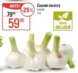 Globus Česnek čerstvý nabídka