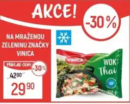 Globus Na mraženou zeleninu značky Vinica nabídka