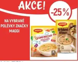 Globus Na vybrané polévky značky Maggi nabídka