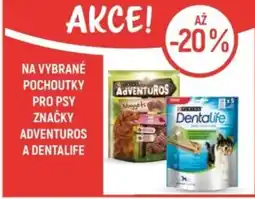 Globus Na vybrané pochoutky pro psy značky Adventuros a Dentalife nabídka