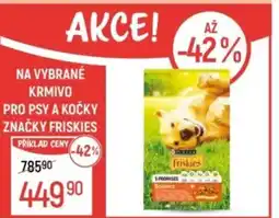 Globus Na vybrané krmivo pro psy a kočky značky Friskies nabídka
