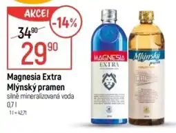 Globus Magnesia Extra Mlýnský pramen nabídka
