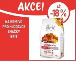 Globus Na krmivo pro hlodavce značky Brit nabídka