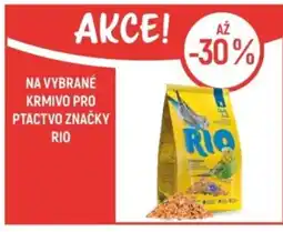 Globus Na vybrané krmivo pro ptactvo značky Rio nabídka