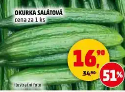 Penny Market Okurka salátová nabídka