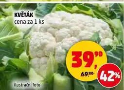 Penny Market Květák nabídka