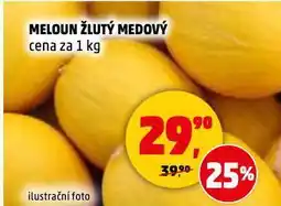 Penny Market Meloun žlutý medový nabídka