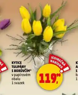 Penny Market Kytice tulipány s borůvčím nabídka