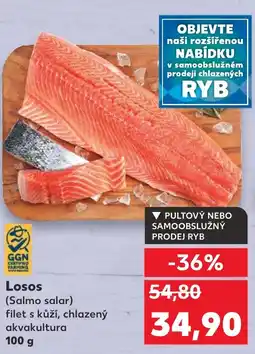 Kaufland Losos nabídka
