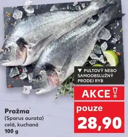 Kaufland Pražma (Sparus aurata) celá, kuchaná nabídka