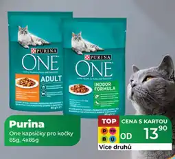 Tamda Foods Purina One kapsičky pro kočky nabídka