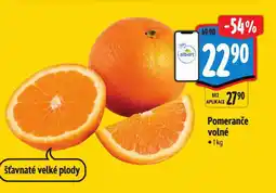 Albert Pomeranče volné nabídka