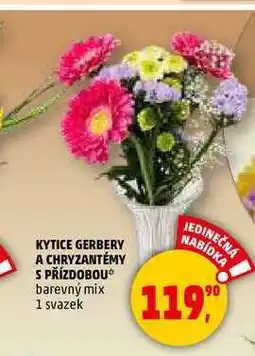 Penny Market KYTICE GERBERY A CHRYZANTÉMY S PŘÍZDOBOU, 1 svazek nabídka