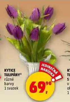 Penny Market KYTICE TULIPÁNY, 1 svazek nabídka