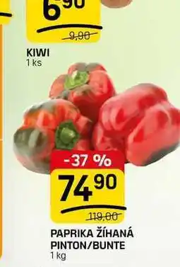 Flop PAPRIKA ŽÍHANÁ PINTON/BUNTE nabídka