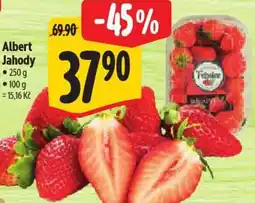 Albert Albert Jahody nabídka