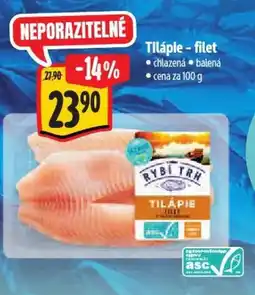 Albert Tilápie - filet nabídka