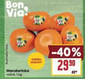 Billa Mandarinka nabídka