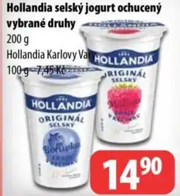 Partner Maloobchodní síť Hollandia selský jogurt ochucený nabídka