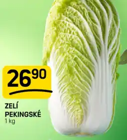 Flop Zelí pekingské nabídka