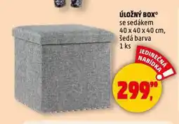 Penny Market Úložný box nabídka