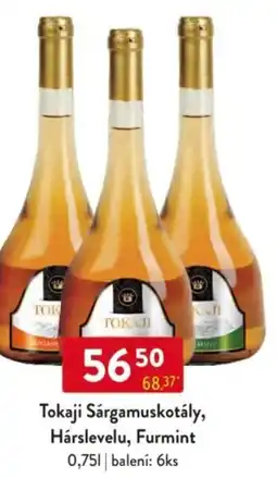 Qanto Tokaji Sárgamuskotály, Hárslevelu, Furmint nabídka