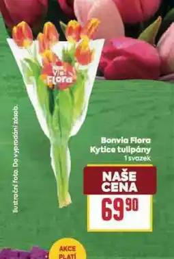 Billa Bonvita flora kytice tulipány nabídka