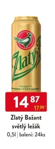 Qanto Zlatý Bažant světlý ležák nabídka