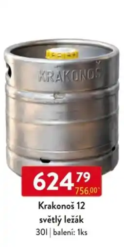 Qanto Krakonoš 12 světlý ležák nabídka