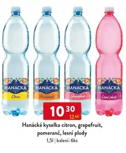 Qanto Hanácká kyselka citron, grapefruit, pomeranč, lesní plody nabídka