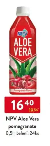 Qanto NPV Aloe Vera pomegranate nabídka