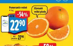 Albert Pomeranče nabídka