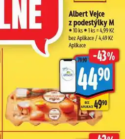 Albert Vejce m nabídka