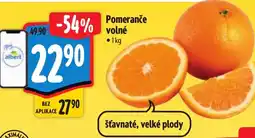 Albert Pomeranče volné nabídka