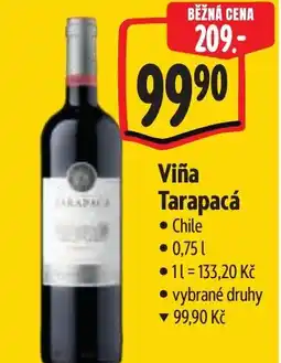 Albert Viña Tarapacá nabídka