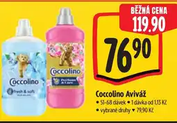 Albert Coccolino Aviváž nabídka