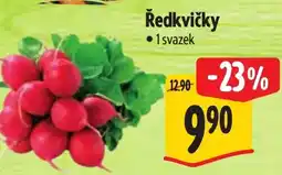 Albert Ředkvičky nabídka