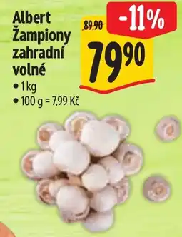 Albert Albert Žampiony zahradní volné nabídka