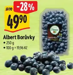 Albert Albert Borůvky nabídka