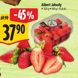 Albert Albert Jahody nabídka
