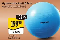 Albert Gymnastický míč 65 cm nabídka