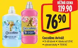 Albert Coccolino Aviváž nabídka