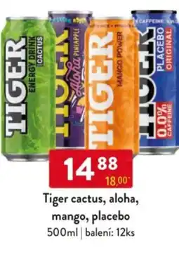 Qanto Tiger cactus, aloha, mango, placebo nabídka