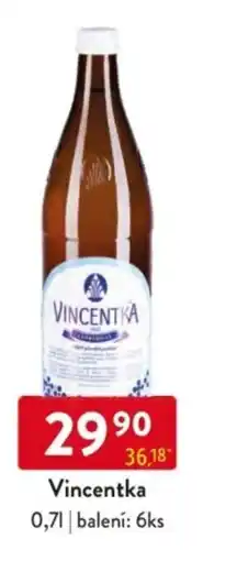 Qanto Vincentka nabídka